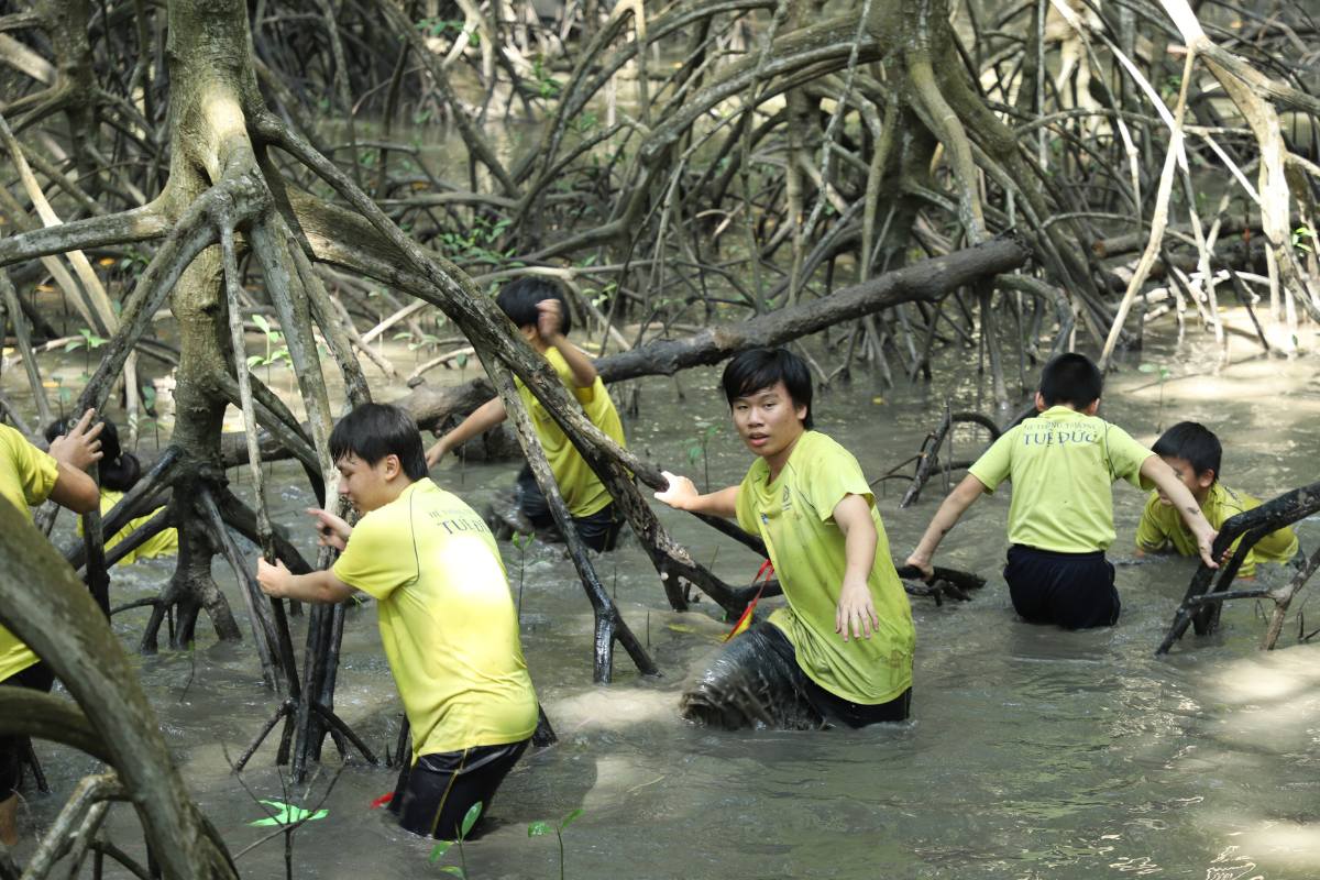 Thông tin tuyển sinh lớp 10 tại Pathway Tuệ Đức.