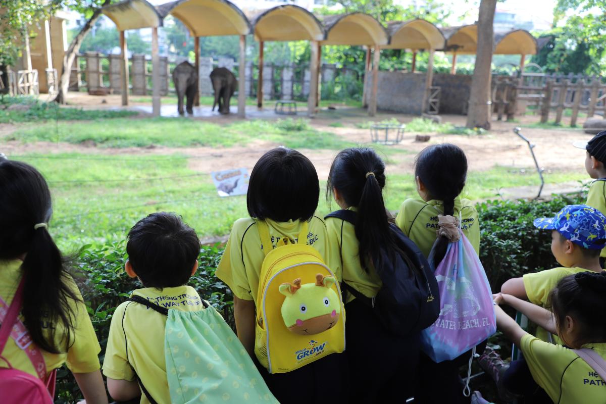 Chương trình trải nghiệm cho học sinh tiểu học là hành trang quan trọng trong hành trình trưởng thành của con.