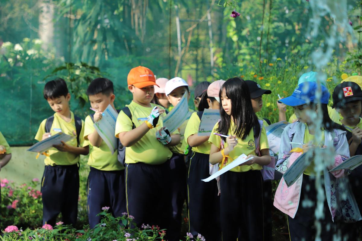 Chương trình trải nghiệm cho học sinh tiểu học nên được thiết khoa học, đảm bảo giúp học sinh phát triển toàn diện