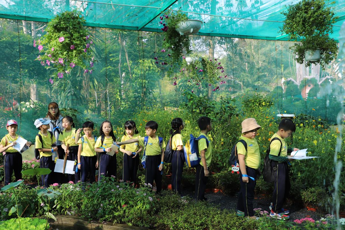 Tại Pathway School, chương trình trải nghiệm cho học sinh tiểu học được diễn ra định kỳ.