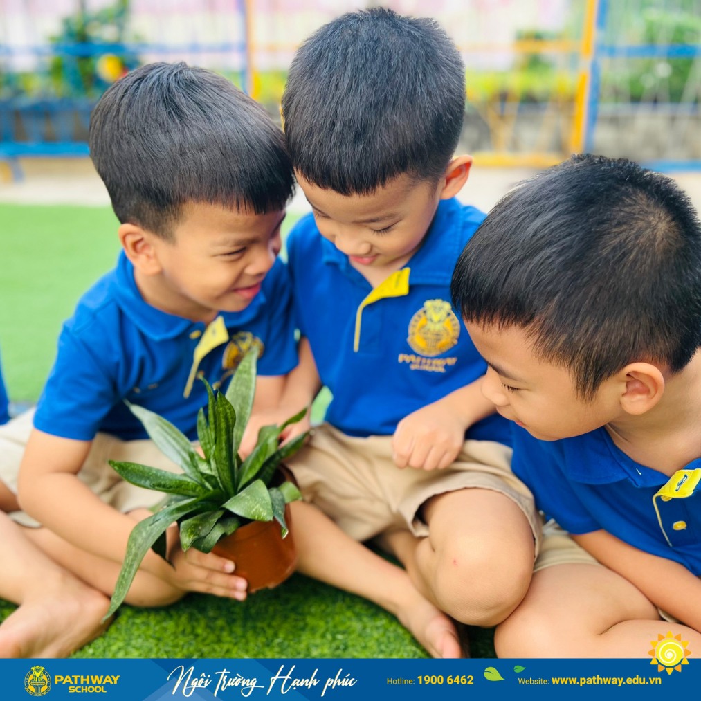 Pathway School là một truong top trường mầm non tại quận 12 có chất lượng dạy học tiên tiến