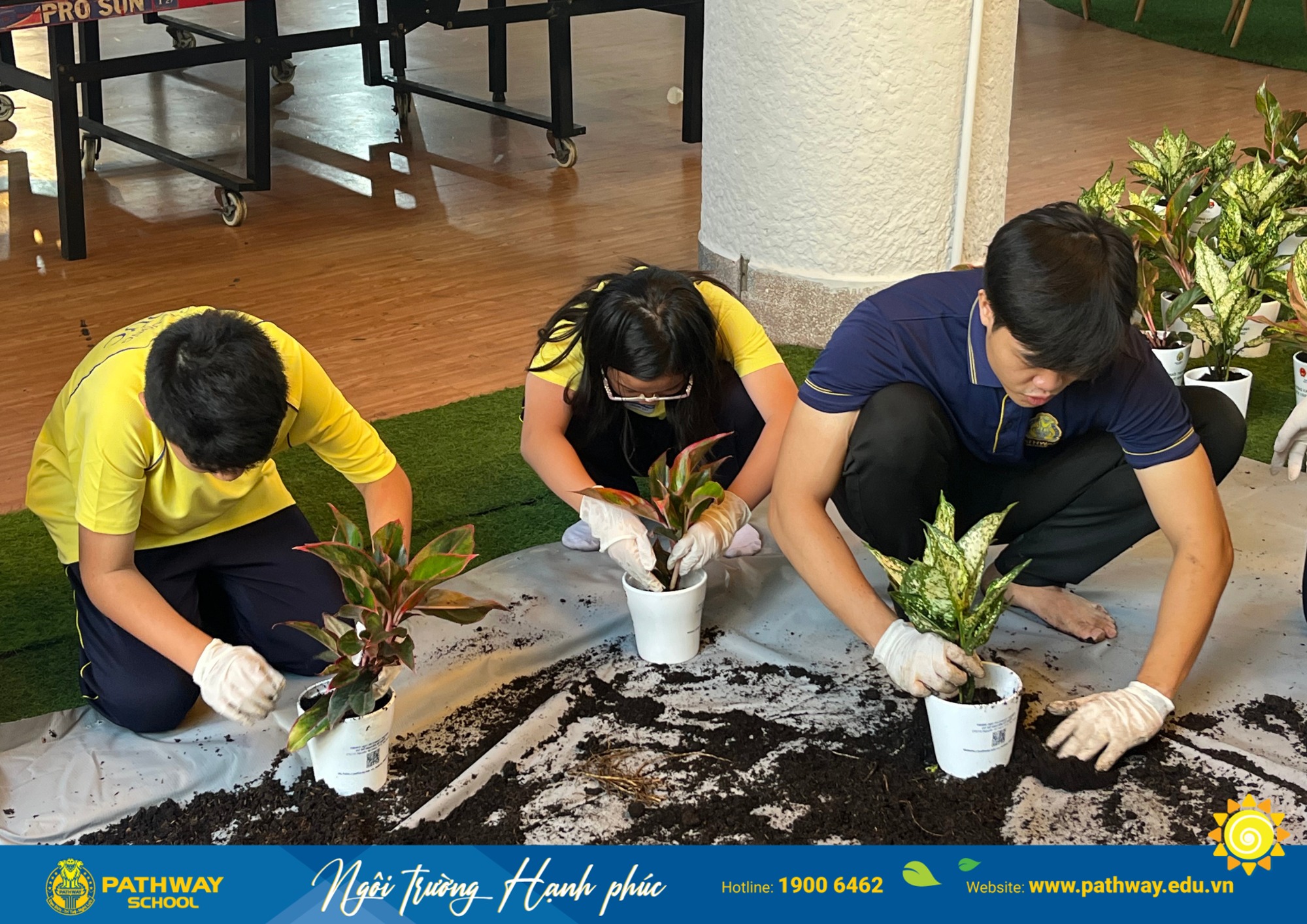 Pathway School là một trong top trường trung học quận 12