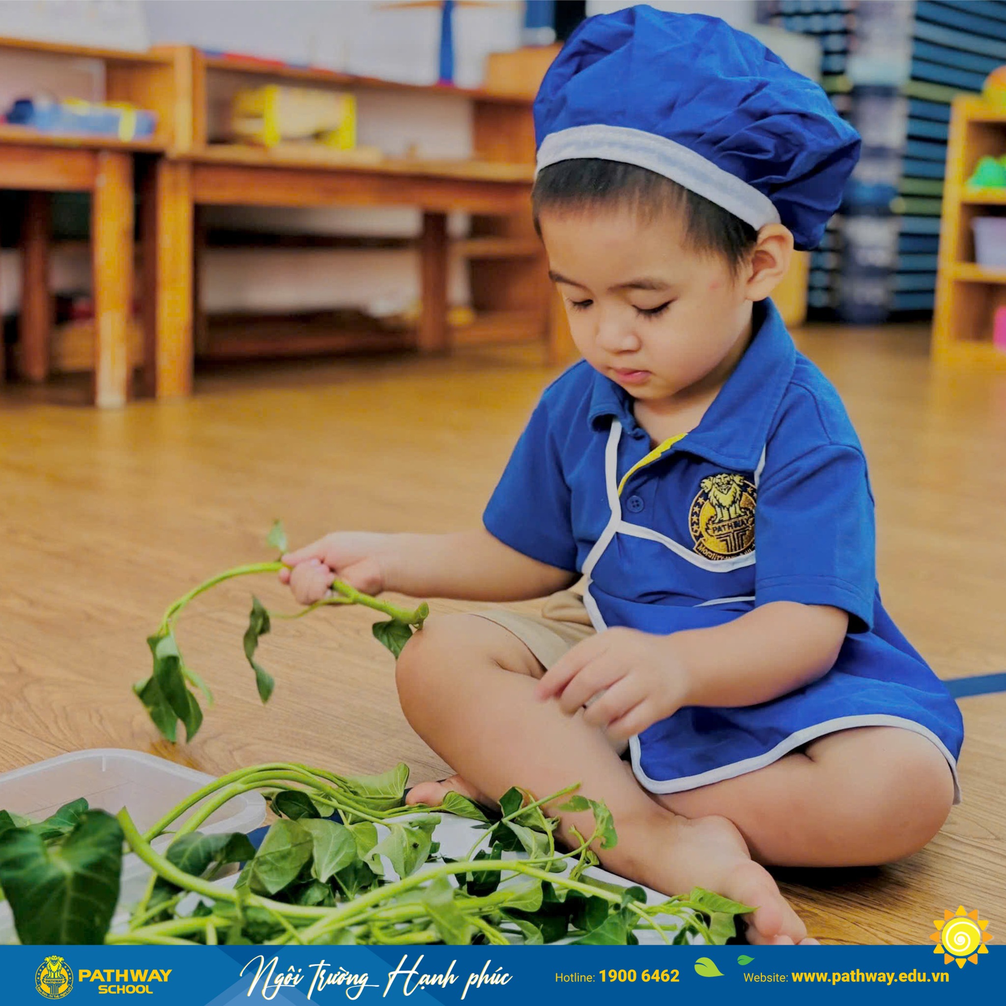 Bé tìm hiểu rau củ