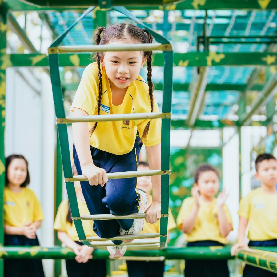 Hệ thống trường Tuệ Đức