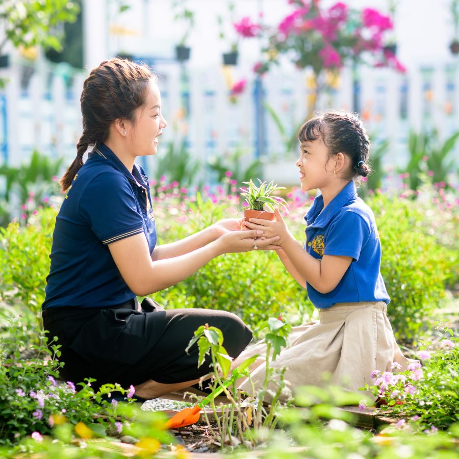 Hệ thống trường tuệ đức