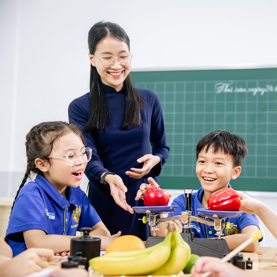 học phí trường tuệ đức cấp 1