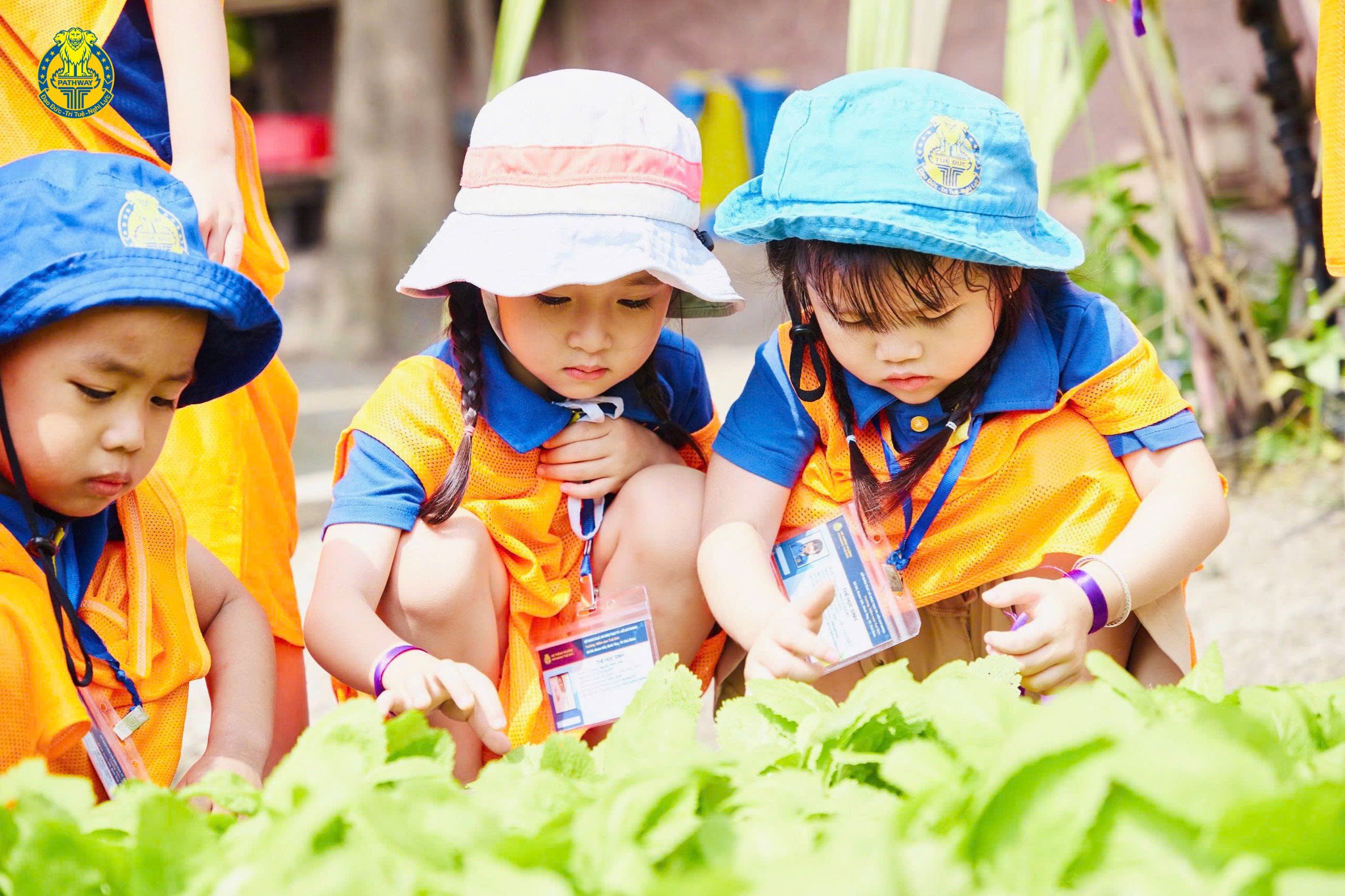 Trẻ 2 tuổi học gì ở trường mầm non chú trọng phát triển tính tự lập.